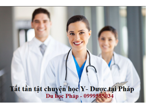 Tất tần tật chuyện: Học Y Dược tại Pháp