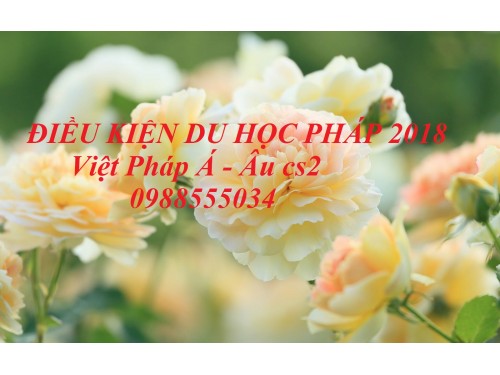 ĐIỀU KIỆN DU HỌC PHÁP 2018